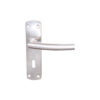 Stainless Steel Lever On Plate - Windsor  Satin Stainless Set