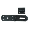 Medium Hasp and Staple
