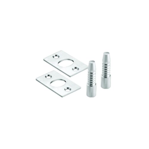 Hinge Bolt