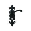 Black Antique Ornate Lock