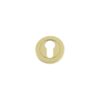 Polished Brass