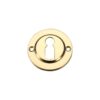 Polished Brass