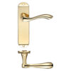 Polished Brass