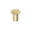 Polished Brass