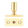 Polished Brass