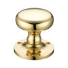 Polished Brass
