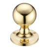 Polished Brass
