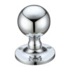 Polished Chrome