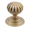 Florentine Bronze