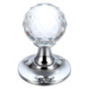 Polished Chrome