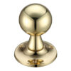 Polished Brass