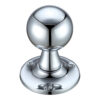 Polished Chrome