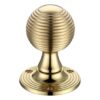 Polished Brass