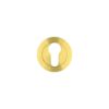 Satin Brass