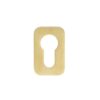Satin Brass