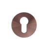 PVD Bronze
