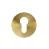PVD Satin Brass
