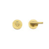 PVD Satin Brass
