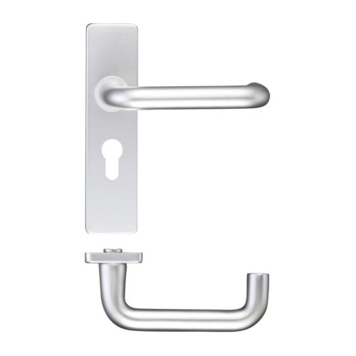Euro Profile RTD Lever on Backplate