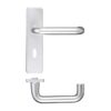 Door Lever on Lock Backplate