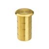 PVD Satin Brass