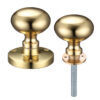 Polished Brass