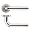 radius lever handle with a dual finish