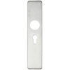 RTD Lever Cover Plate
