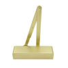 Satin Brass