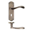 project asti lever on latch backplate