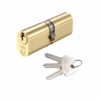 Polished Brass