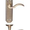 Florentine Bronze