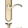 Satin / Polished Brass