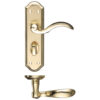Satin / Polished Brass