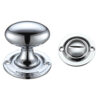 Polished Chrome