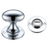 Polished Chrome