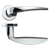 Polished Chrome