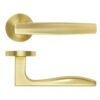 Satin Brass