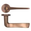 PVD Bronze