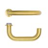 PVD Satin Brass