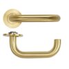PVD Satin Brass