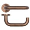 PVD Bronze
