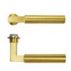 PVD Satin Brass