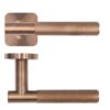 PVD Bronze