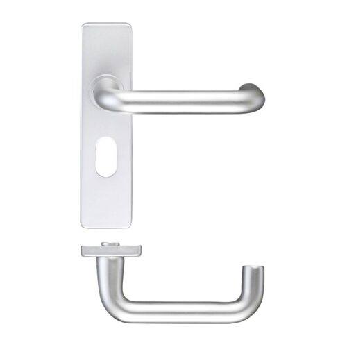 Door Lever on Oval Profile Backplate