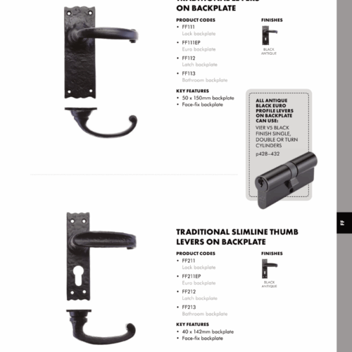 Alternative view of Traditional Lever on euro Backplate - 6"