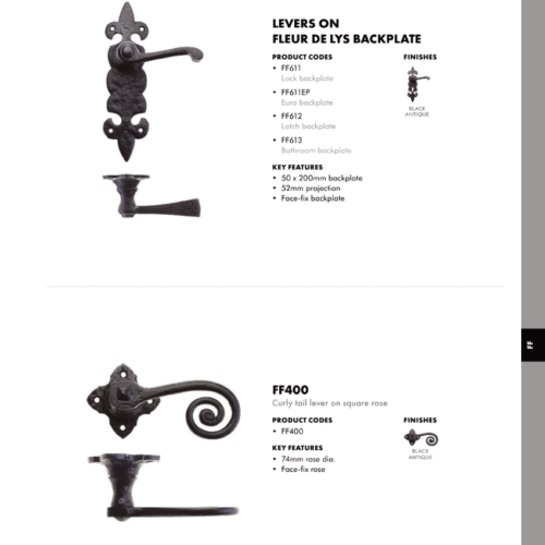 Alternative view of Lever on Fleur de Lys Lock Backplate