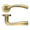 PVD Satin Brass