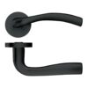 Matt Black