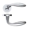 Polished Chrome